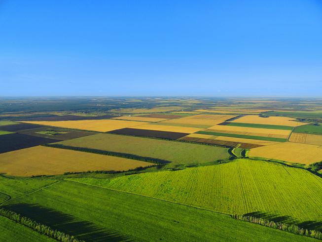 Hokkaido Corporation хочет в России создать умный аграрный мегаполис