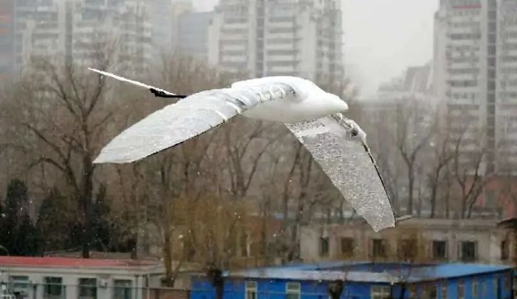 Птицеподобный дрон из Китая установил мировой рекорд по продолжительности полета