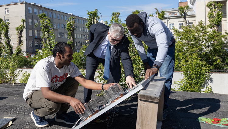 Ученые Уральского федерального университета улучшили работу солнечных батарей на жаре