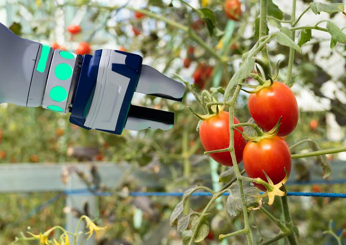 Роботы позволят вывести немецкое растениеводство из кризиса