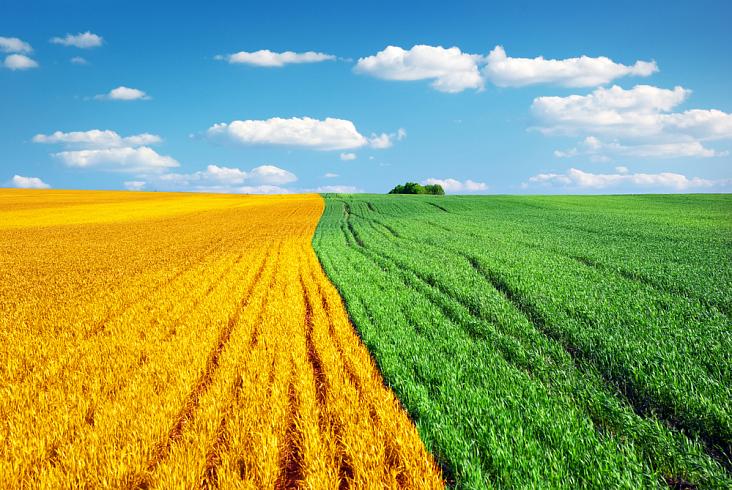 В Татарстане оцифровали 92% сельскохозяйственных полей