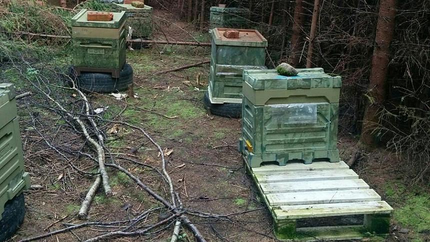 Российские ученые мониторят улья с помощью сотовой связи Российские ученые мониторят улья с помощью сотовой связи
